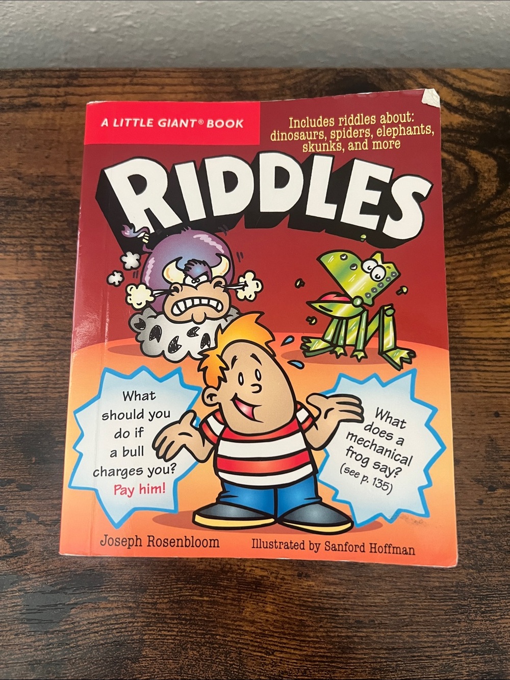 Little Giant Riddles Book Gift Kids